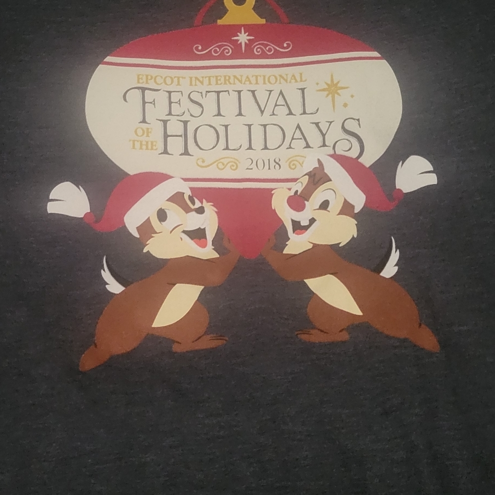 brand new disney parks chip n Dale festival of the holidays shirt with hoodie